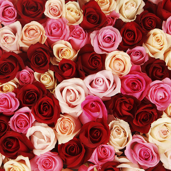 10 beauty products made with roses